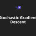 Stochastic Gradient Descent