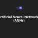 Introduction To Artificial Neural Networks (ANNs)