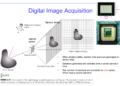Convolutional Neural Networks (CNNs): Concept And Application