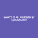What's Is AI Labyrinth By Cloudflare? What’s Is AI Labyrinth By Cloudflare?